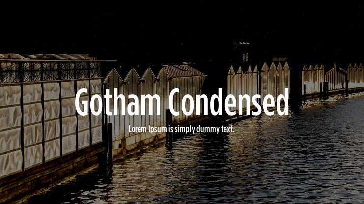 Police Gotham Condensed