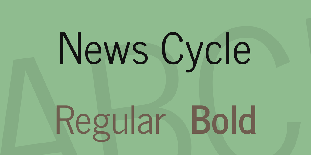 Police News Cycle