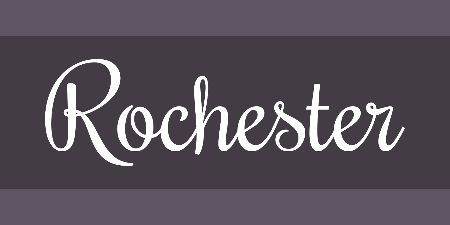 Police Rochester
