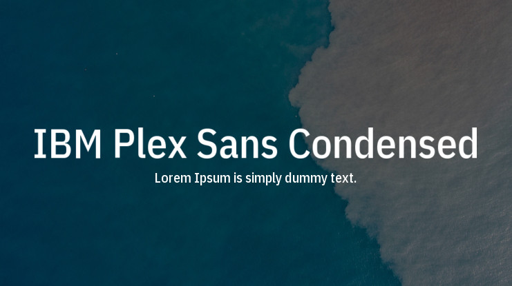 Police IBM Plex Sans Condensed