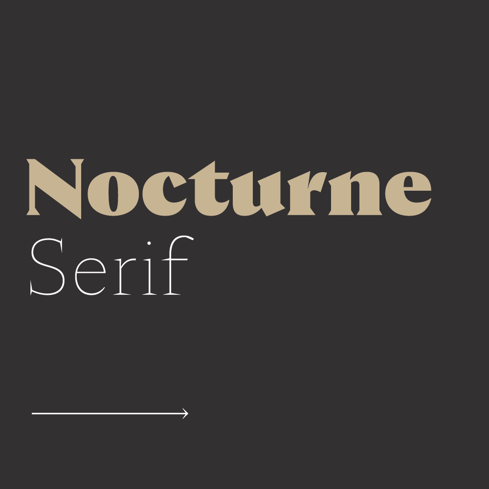 Police Nocturne Serif