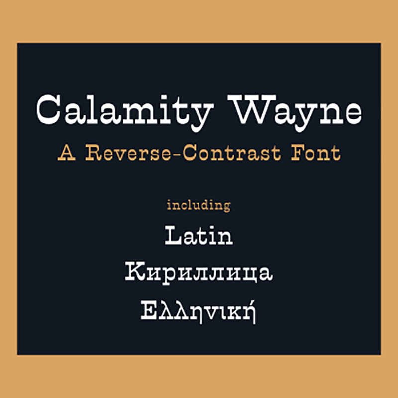 Calamity Wayne