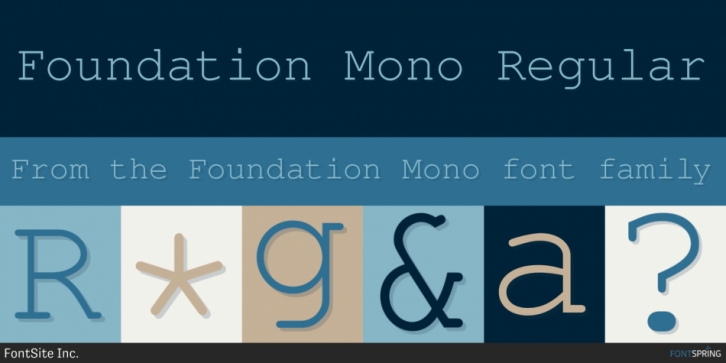 Police Foundation Mono