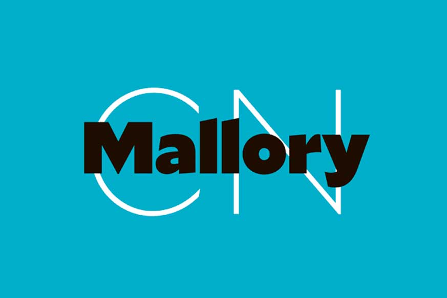 Police Mallory Condensed