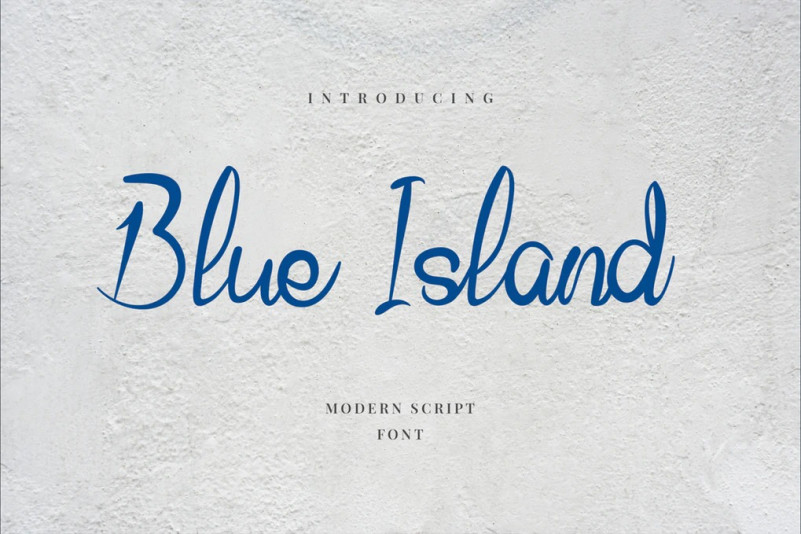 Police Blue Island
