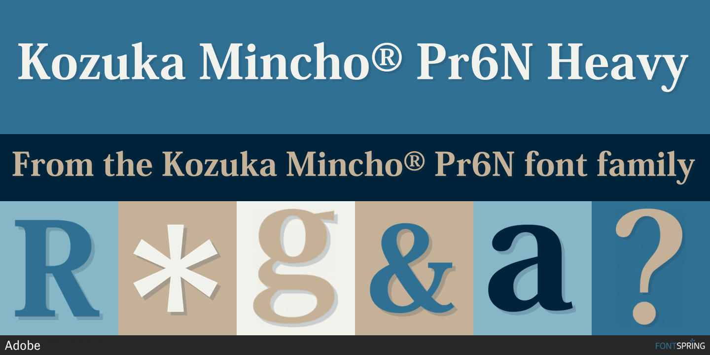 Police Kozuka Mincho Pr6N