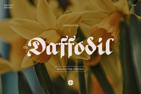 Police ED Daffodil
