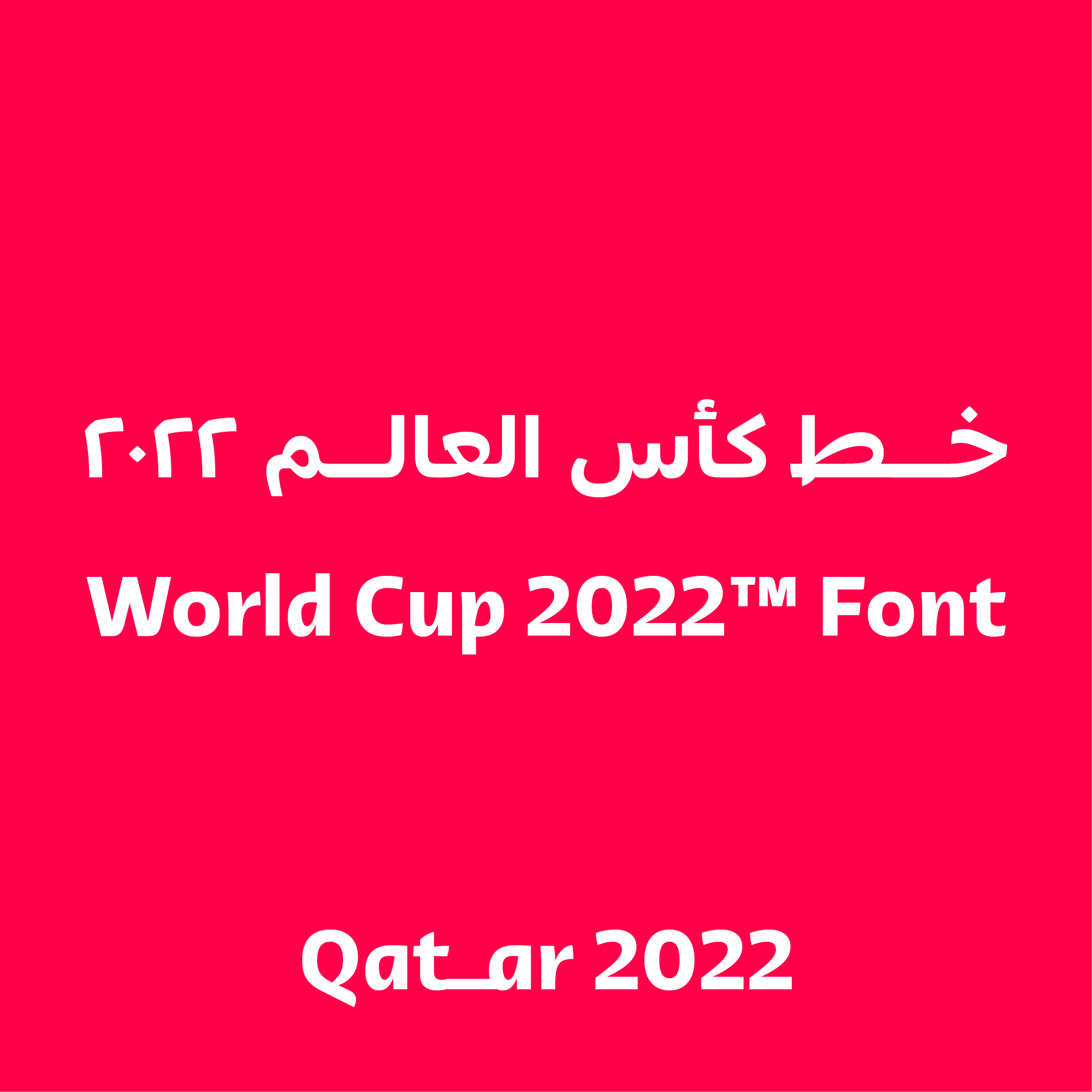 Police Qatar 2022