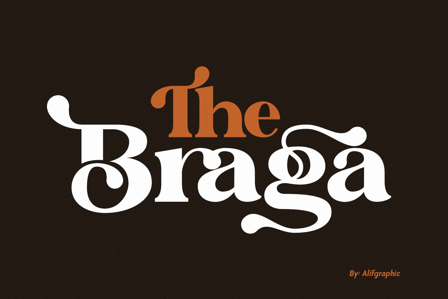 Police The Braga