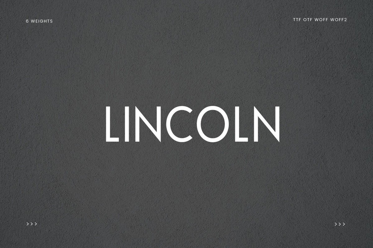 Police Lincoln Display