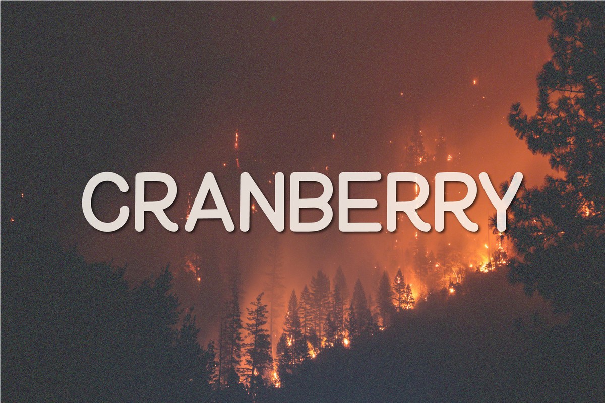 Police Cranberry