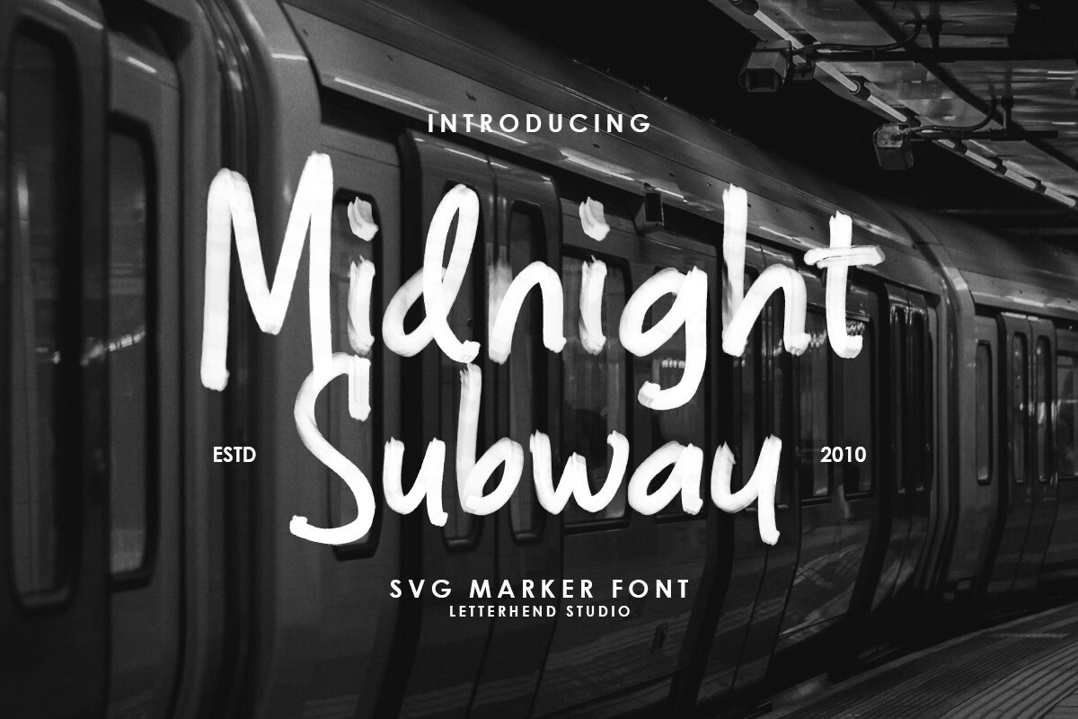 Police Midnight Subway