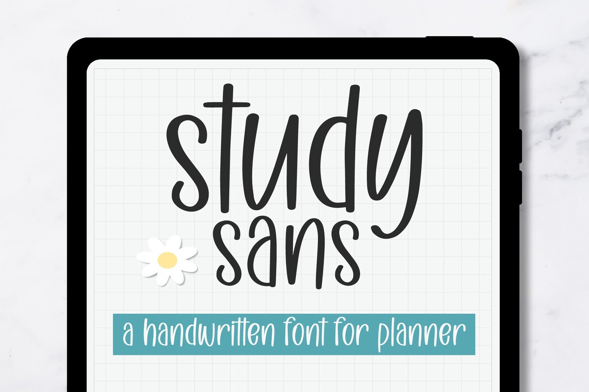 Study Sans