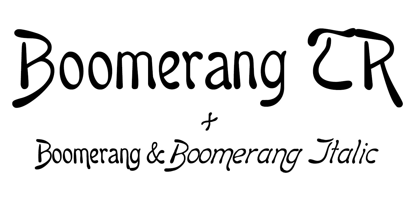 Police Boomerang TR