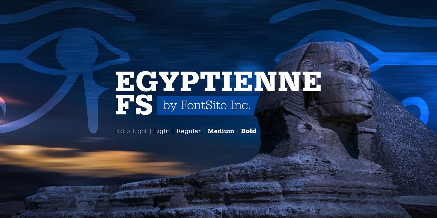 Police Egyptienne FS