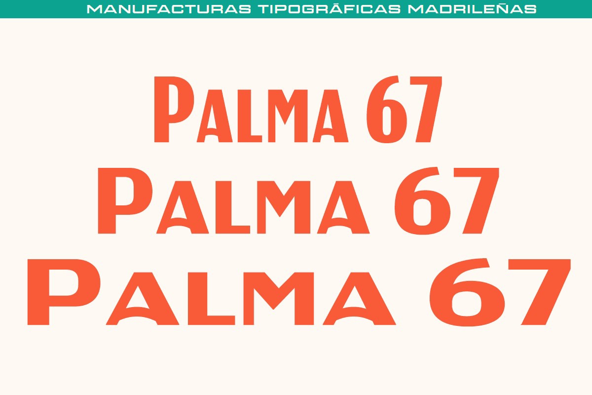 Police MTM Palma 67