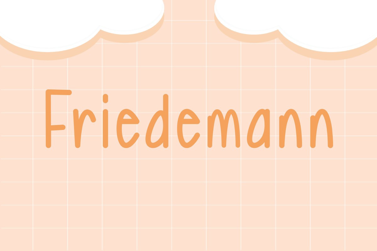 Police Friedemann