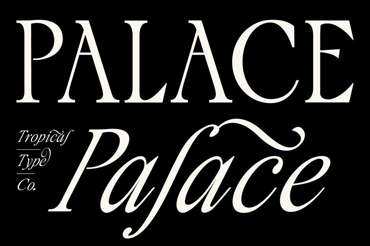 Police Palace Serif