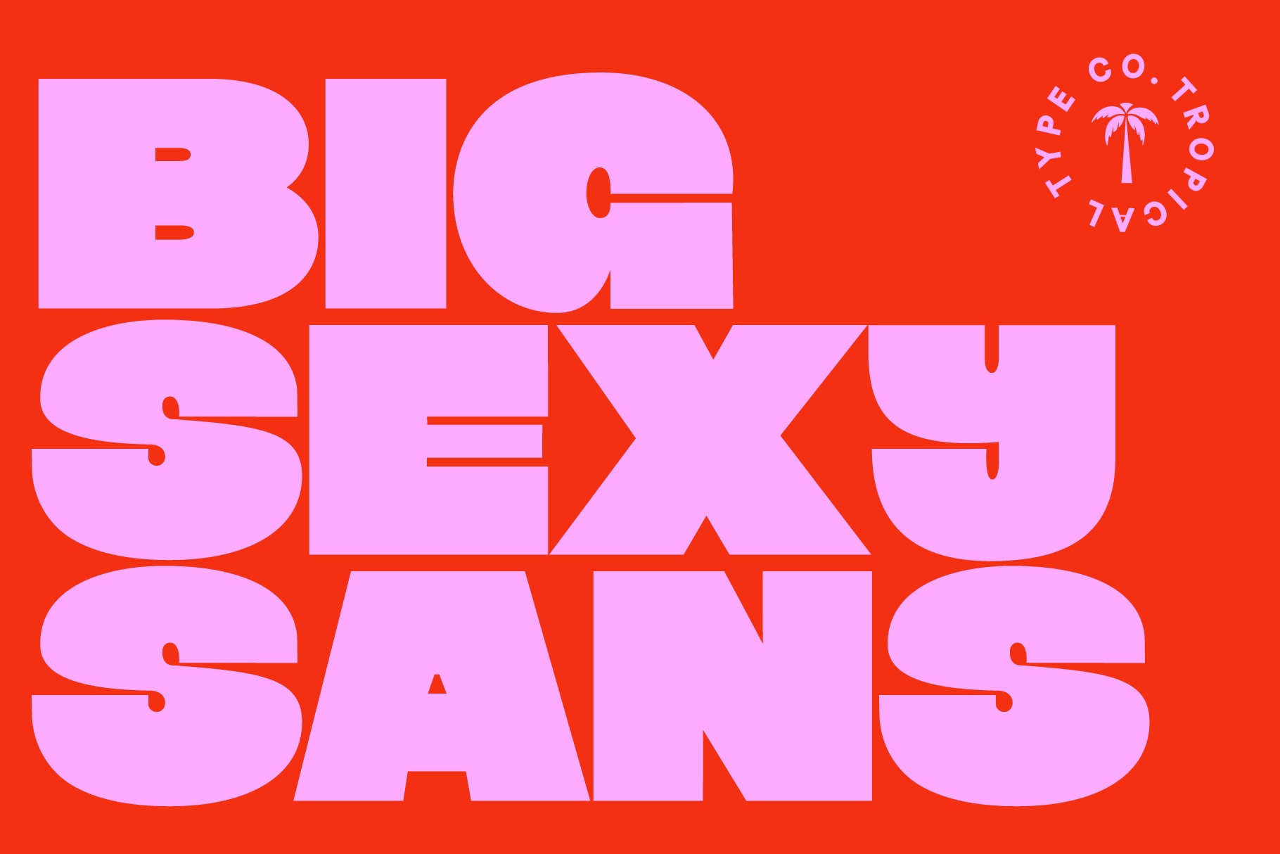 Police Big Sexy Sans