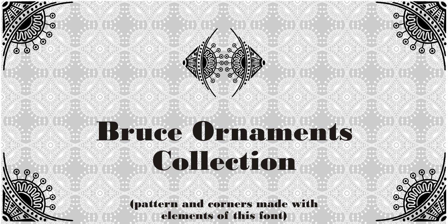 Police Bruce Ornaments Collection