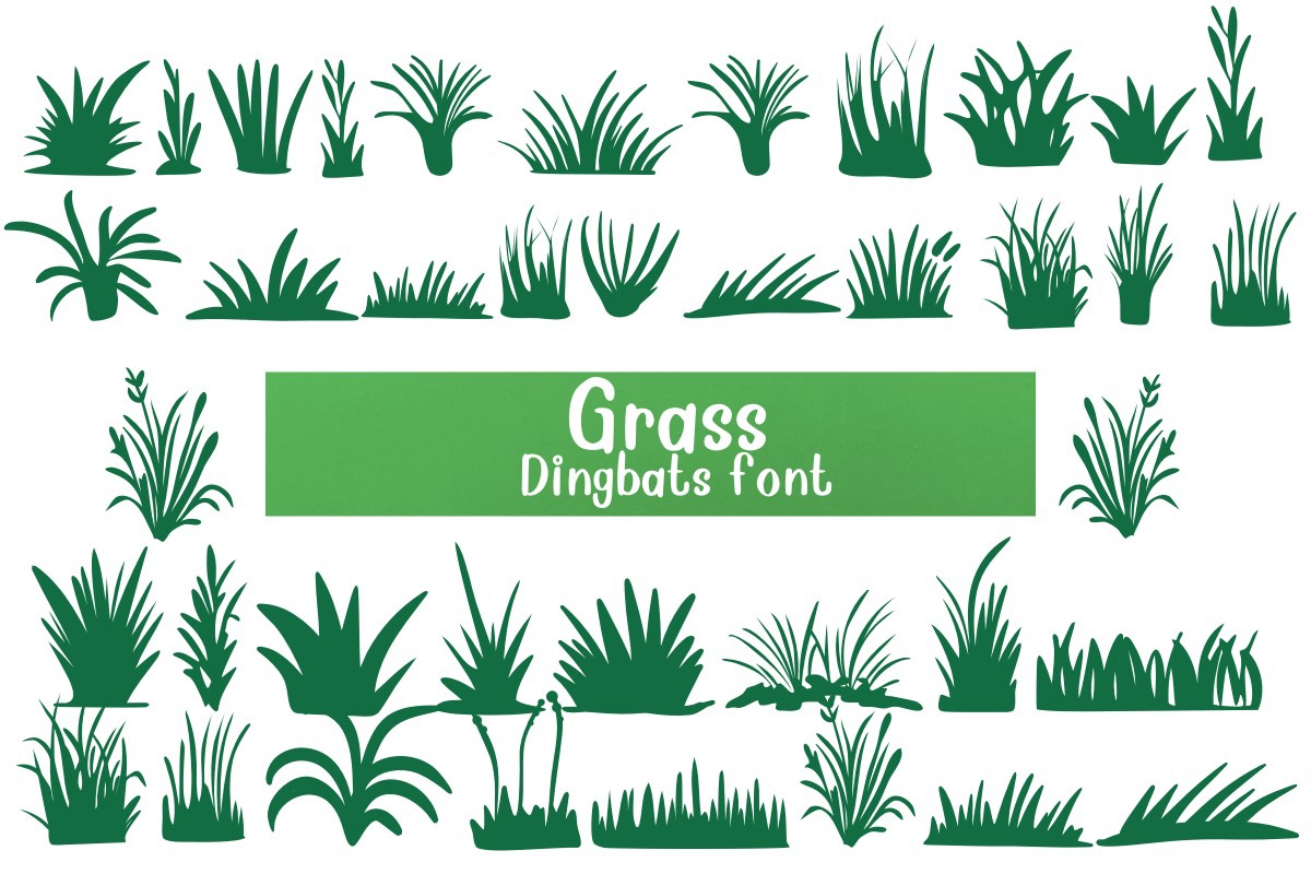 Grass