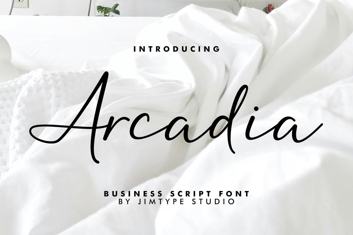 Police Arcadia Script