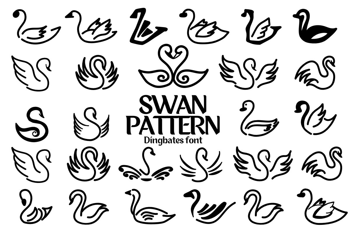 Swan Pattern