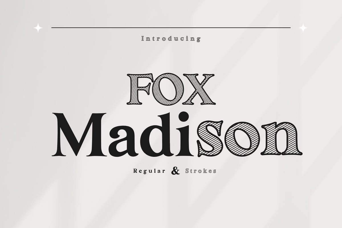 Police Fox Madison